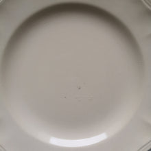 Load image into Gallery viewer, Sarreguemines サルグミンヌ 花リム 平皿24.5cm C
