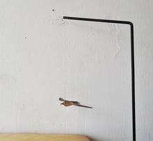 画像をギャラリービューアに読み込む, 3D DECORATION GREETING CARD/envelope-Seagull - Stellina