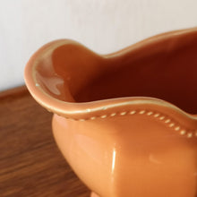 Load image into Gallery viewer, SALINS | Vintage plate ソーシエール | SALINS的复古板 - Stellina