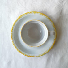 Load image into Gallery viewer, Sarreguemines | Vintage cup&saucer x2 ヴィンテージカップx2 ① | Sarreguemines的复古板 - Stellina