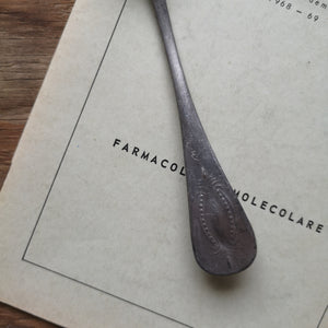 Vintage pewter spoons ピュータースプーン