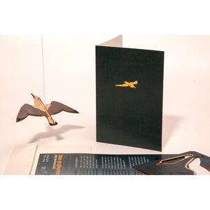 3D DECORATION GREETING CARD/envelope-Seagull - Stellina