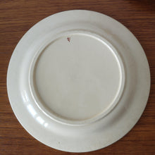 드 이미지 갤러리로 뷰어,LONGCHAMP | Vintage dessert plate3 ヴィンテージプレート | LONGCHAMP的复古板 - Stellina 